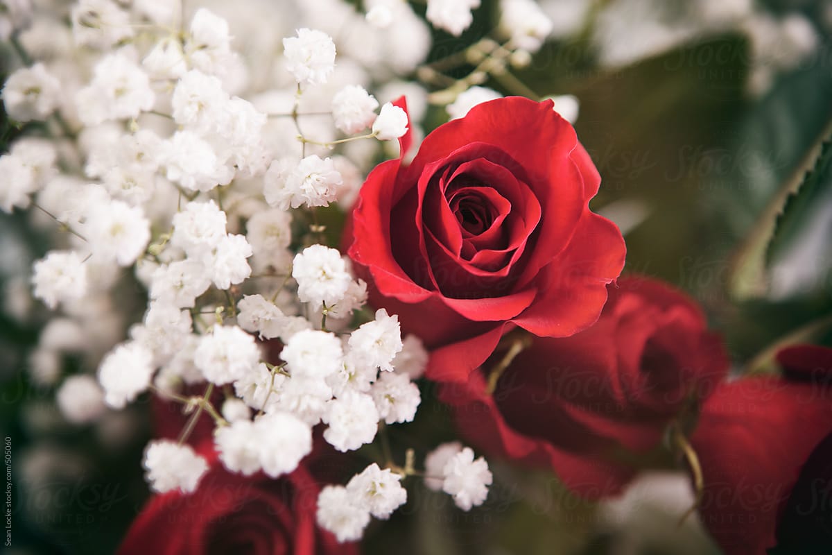 Valentine: Red Rose Bouquet With White Baby\'s Breath