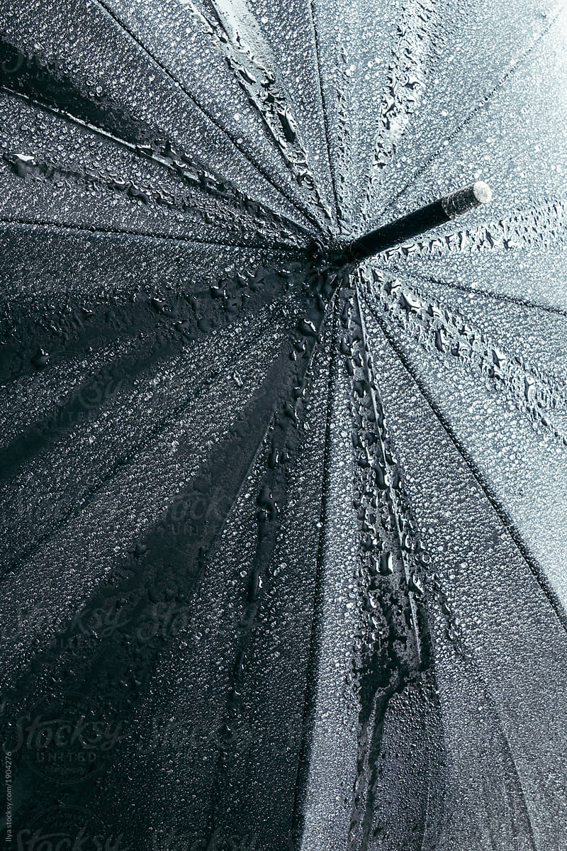 Black wet umbrella rain water drop outdoors nature weather