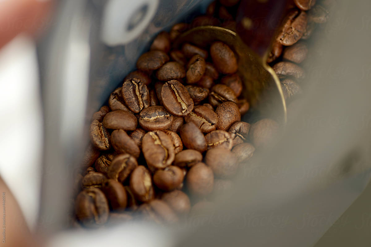 Closeup of coffee beans, the process of making coffee