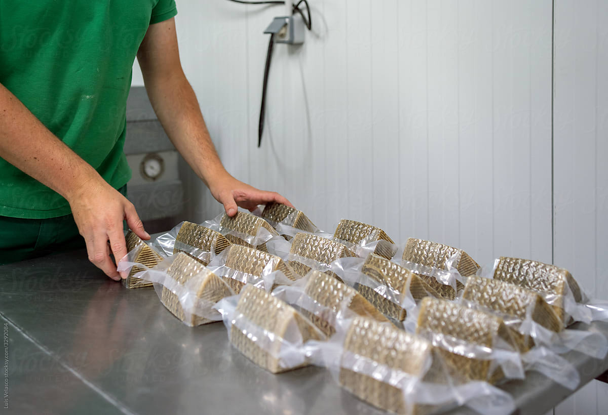 Packing Pieces Of Raw Milk Cheese.