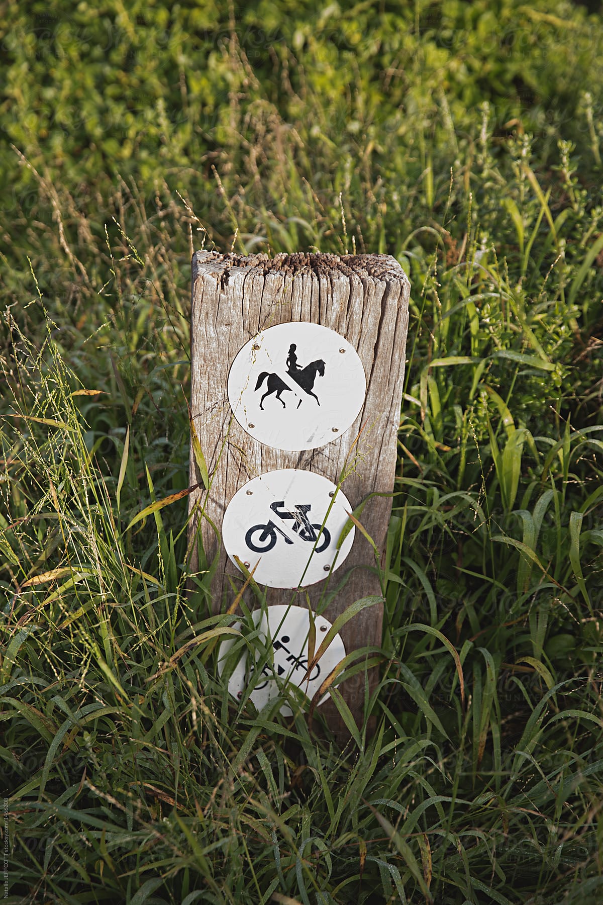 sign in long grass along a path - no horses, bicycles and dirt bikes