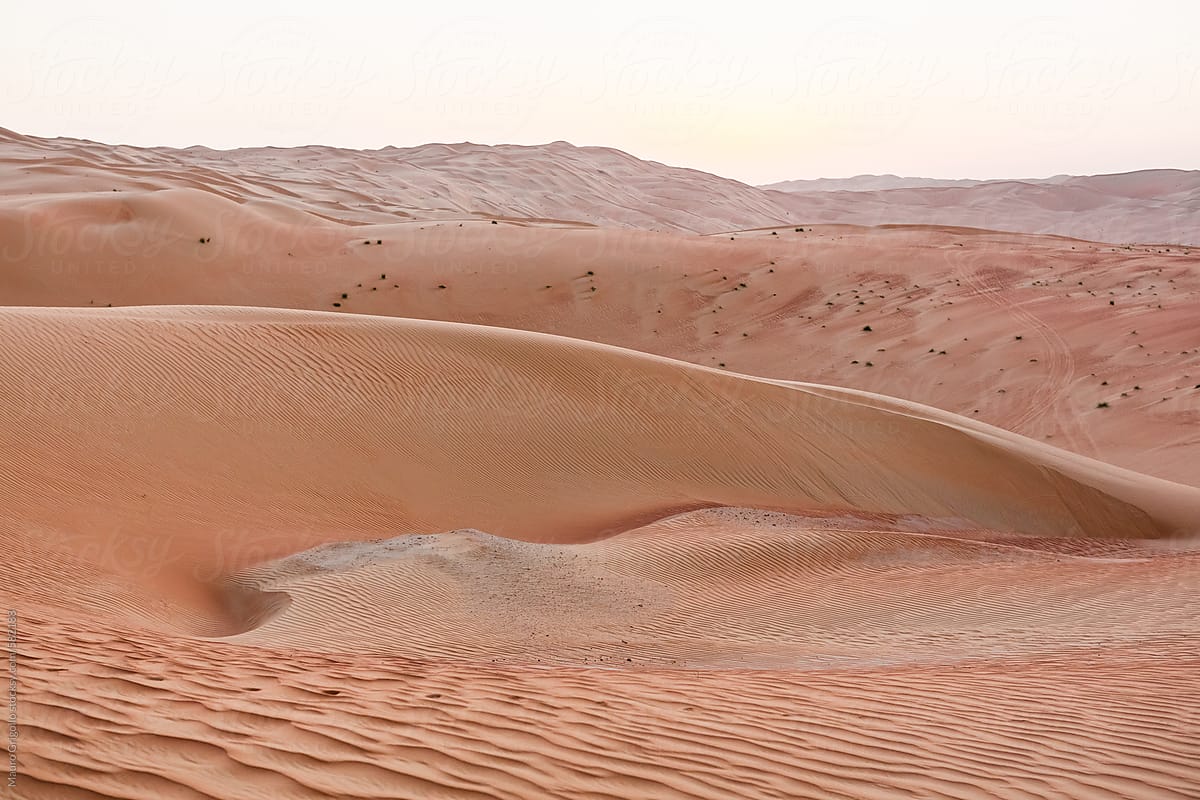 Desert,  United Arab Emirates
