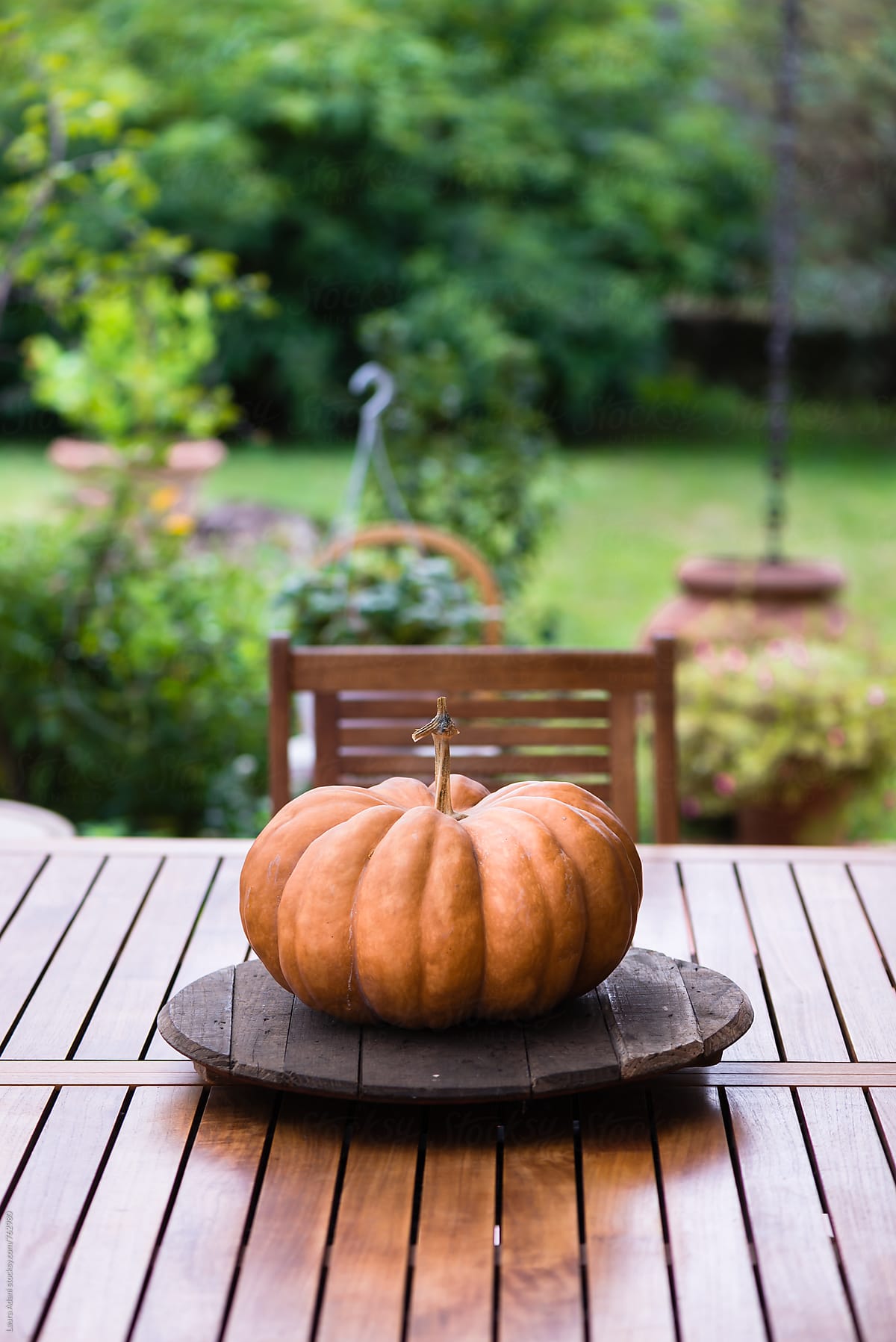 Round pumpkin on a table