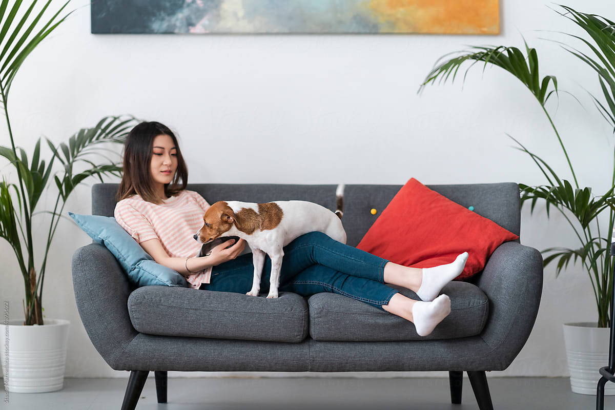 Young Asian woman reading magazine on couch near dog