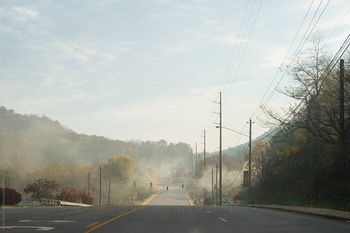 Fog over suburban road