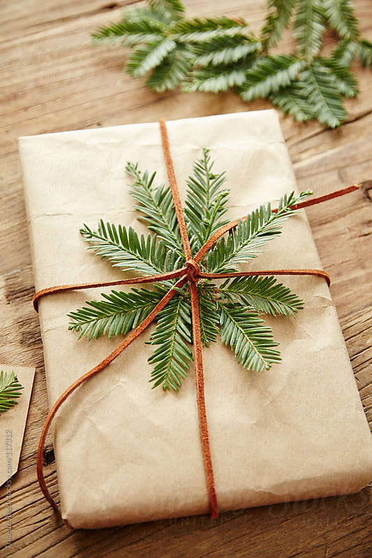Gift wrapped in brown paper with pine branches attached by Trinette ...