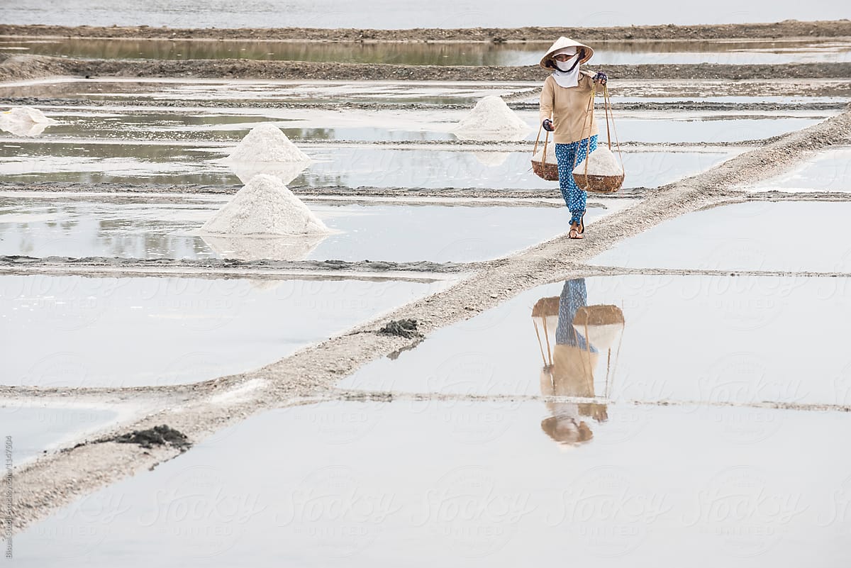 Worker transporting salt in Vietnam