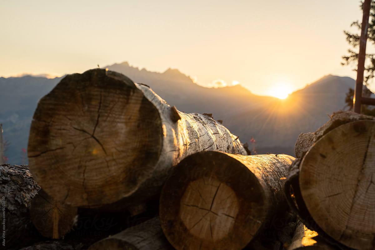 Lumber at sunset