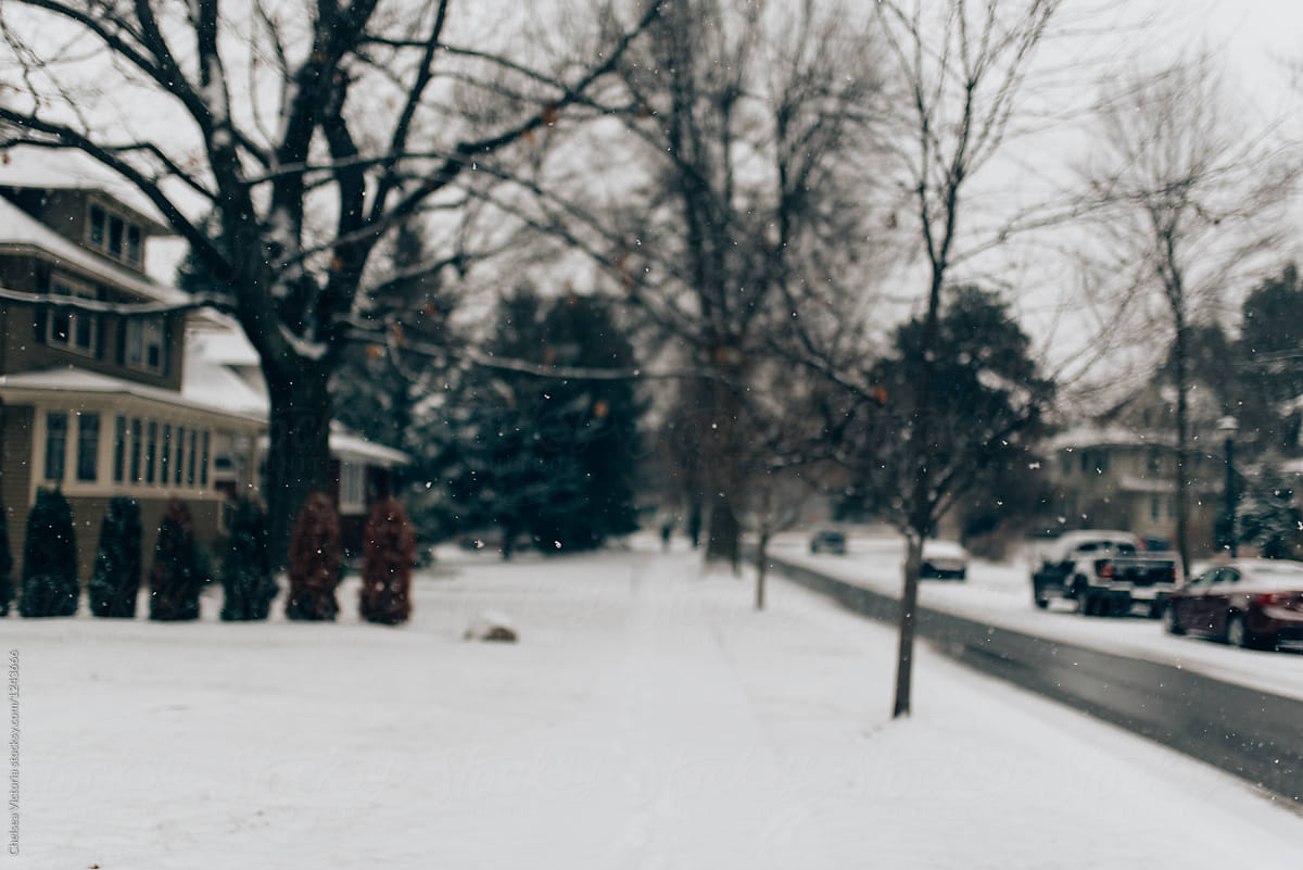 A suburban neighborhood in the snow