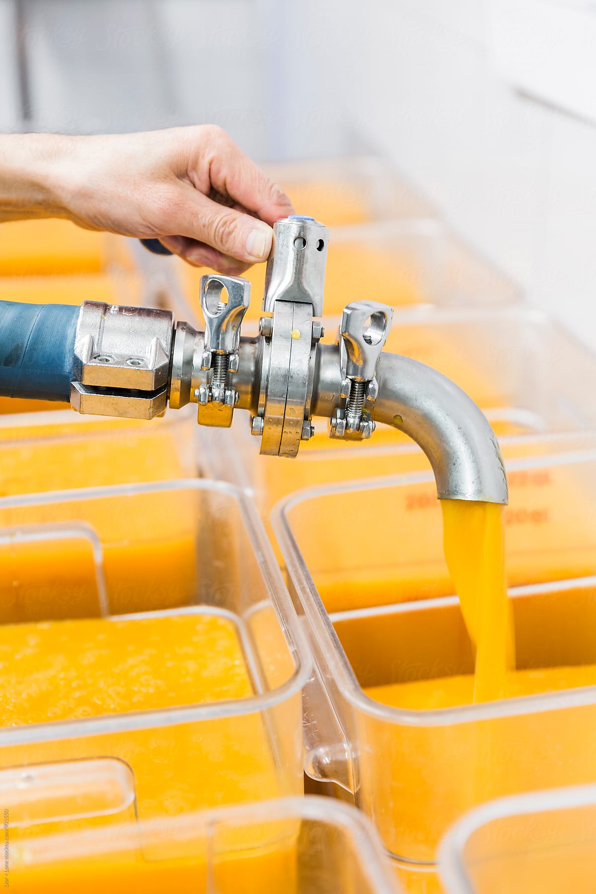 Hand holding industrial hose filling large containers with orange liquid