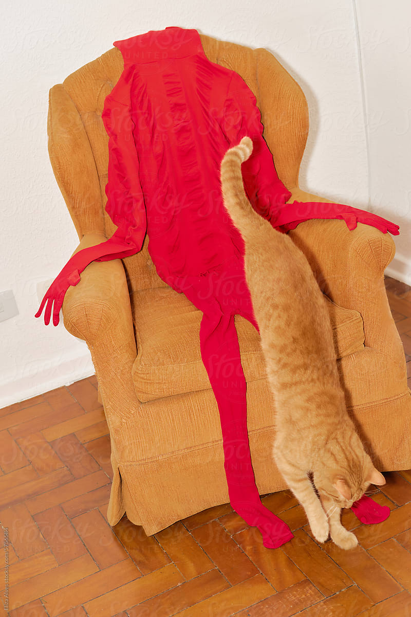 Red clothes styled as a human body in an armchair with a cat