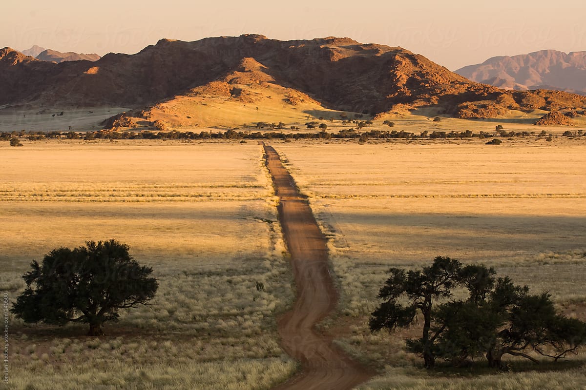 A road across the savanna