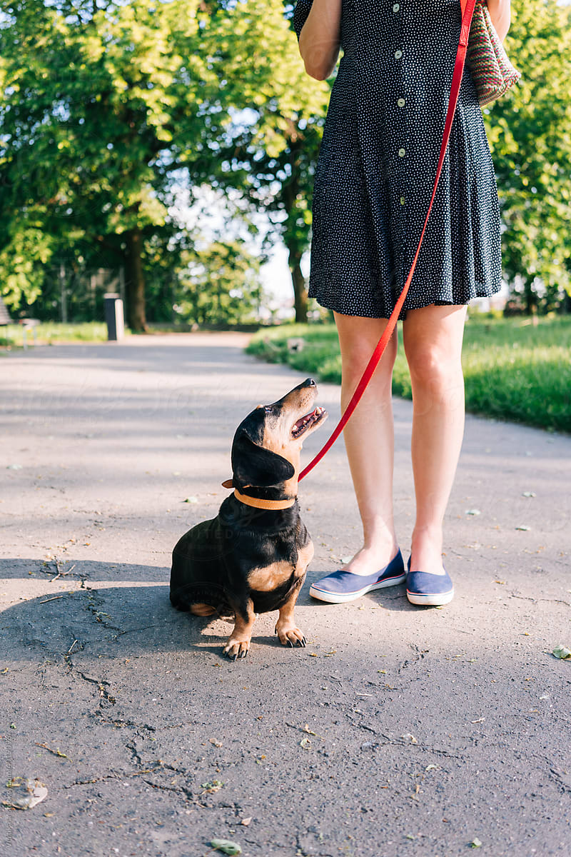Woman in the park with her small black dachshund