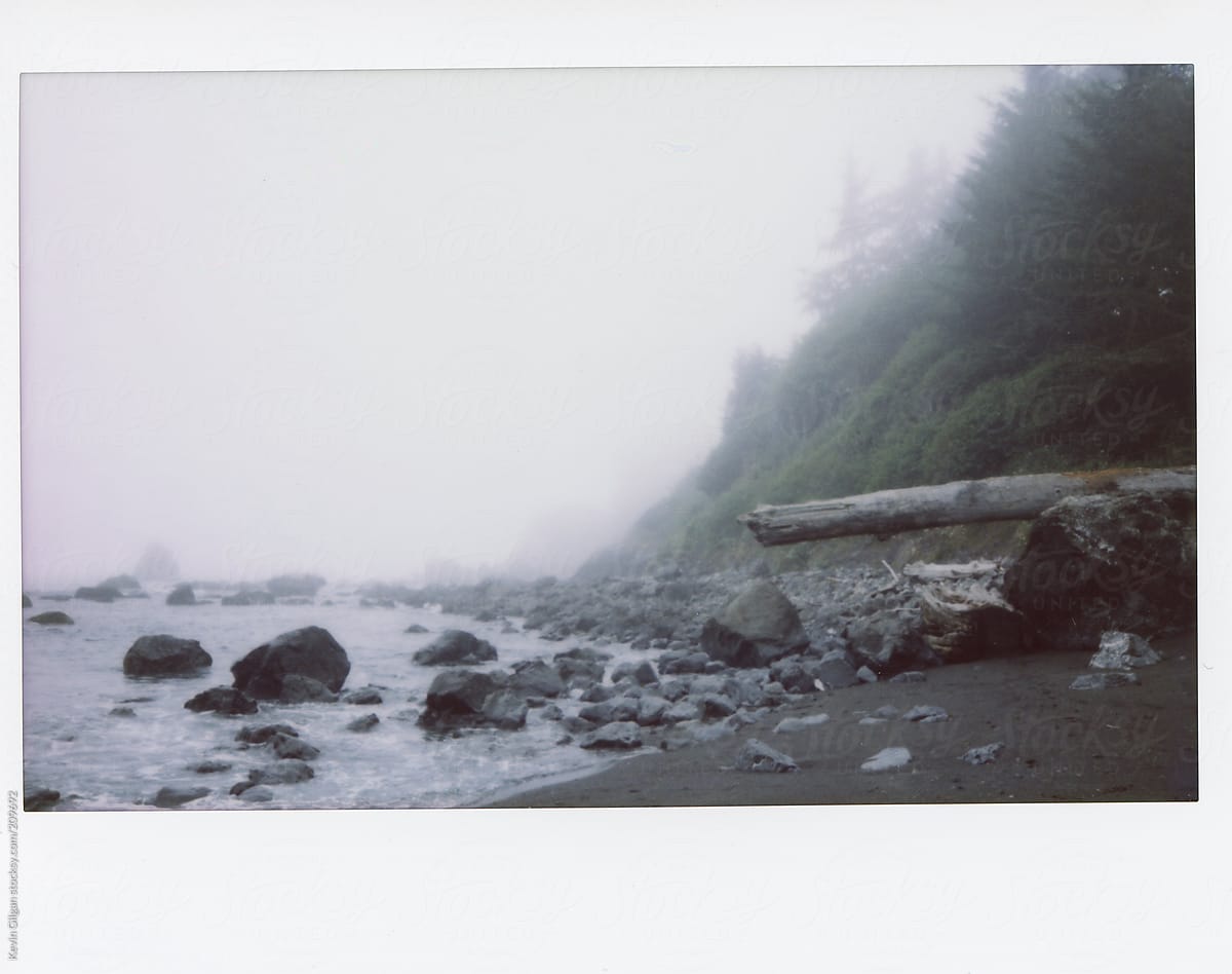 Foggy Beach By Stocksy Contributor Kevin Gilgan Stocksy