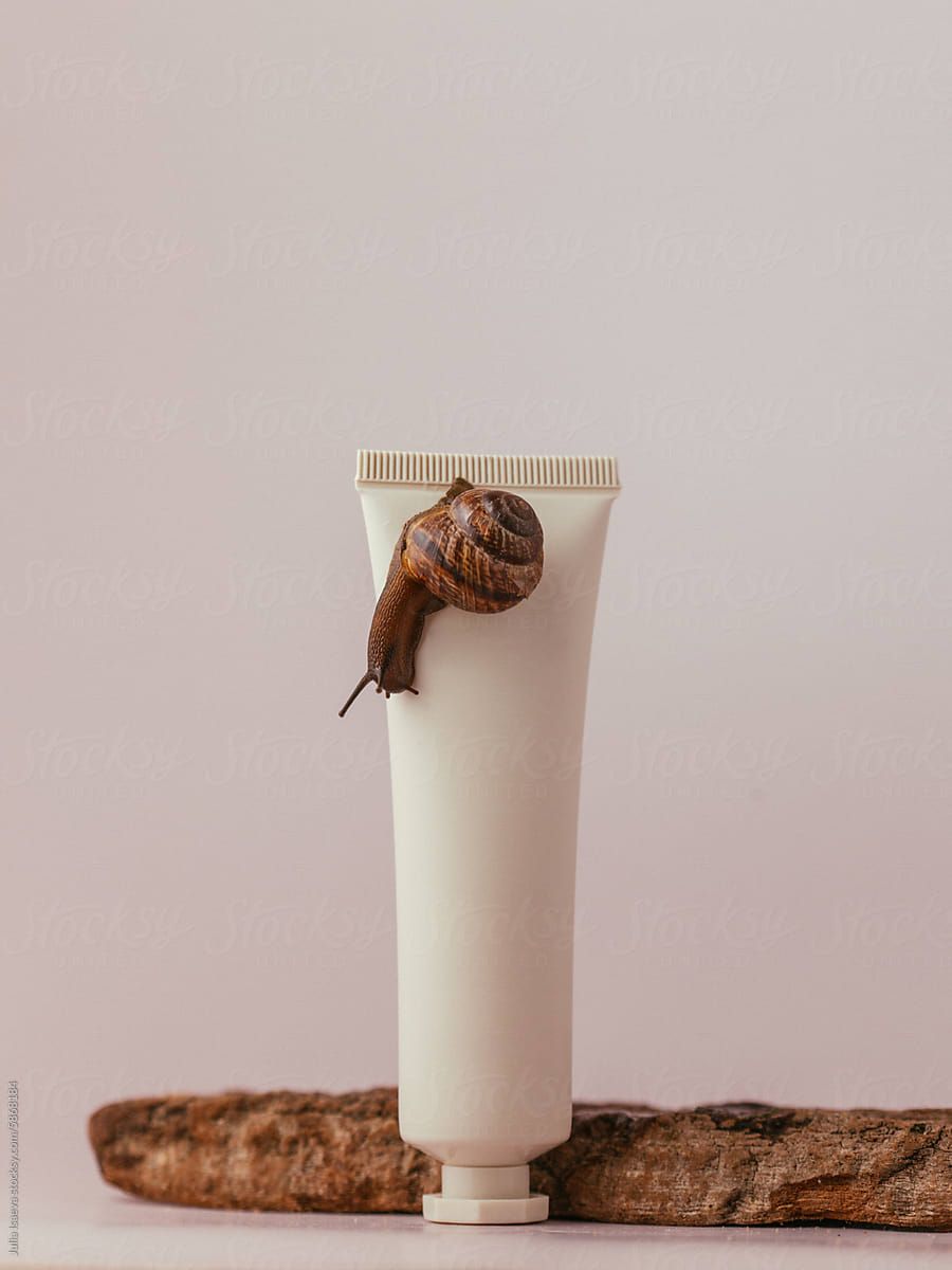 Snail and cosmetic cream: Natural beauty