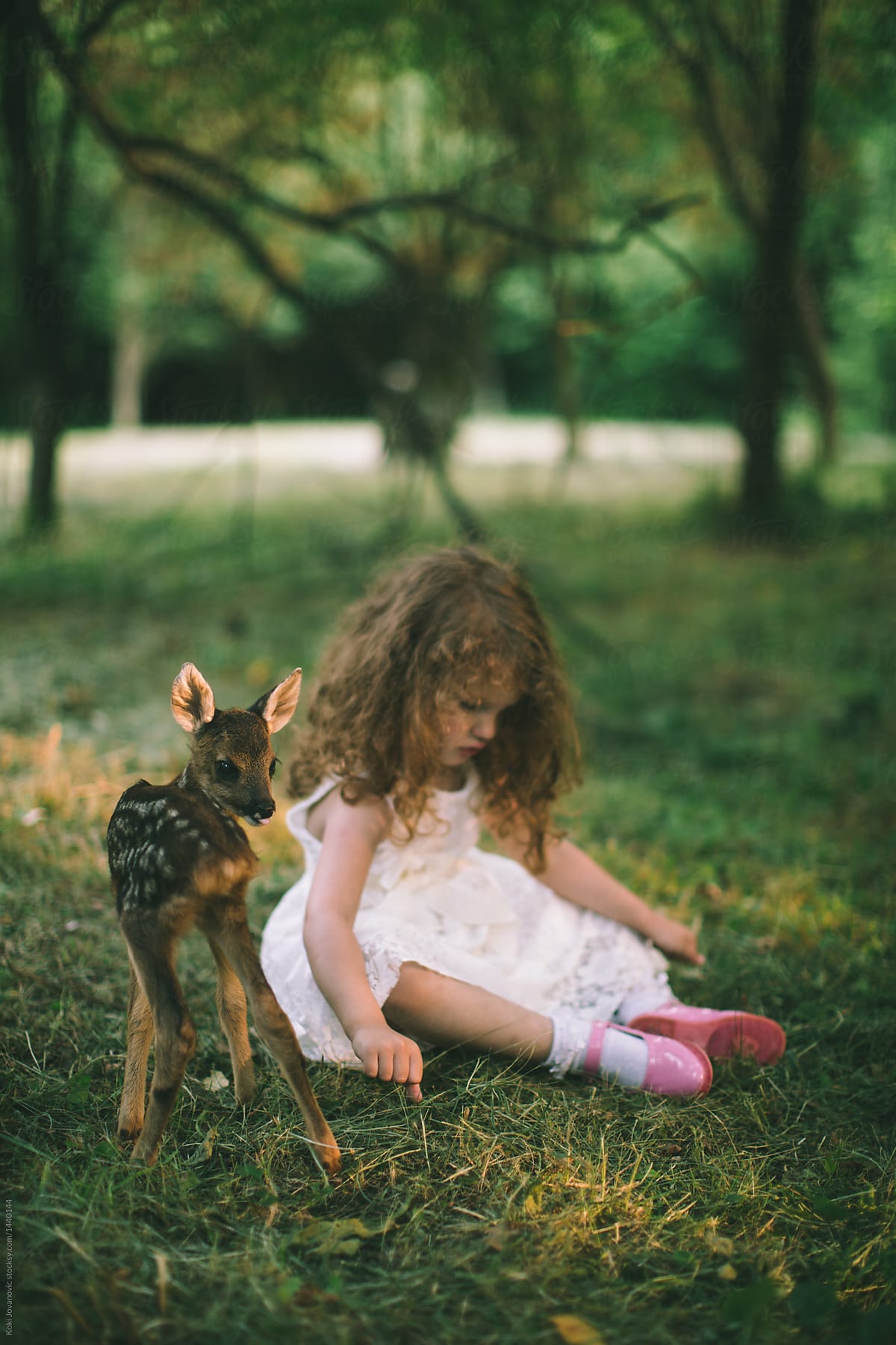 young pretty girl playing with little baby deer by Koki Jovanovic