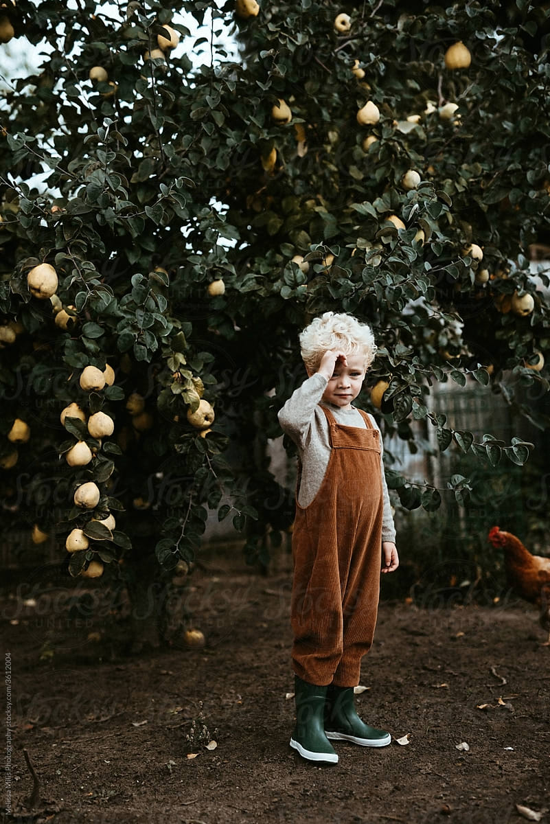 Blond kid in the garden with a chicken and pear tree