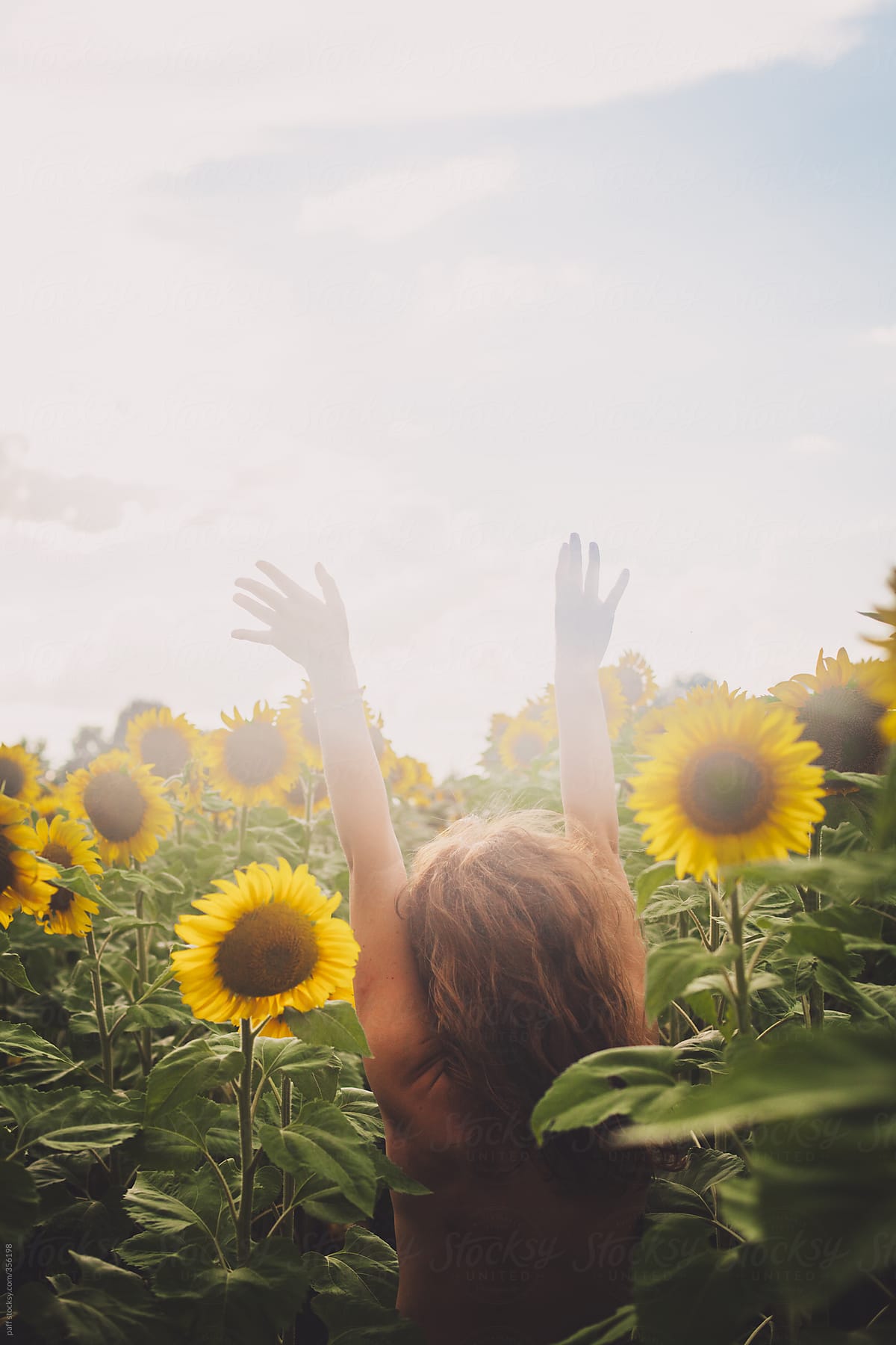 Free-spirited picture of a girl in a sunflower field