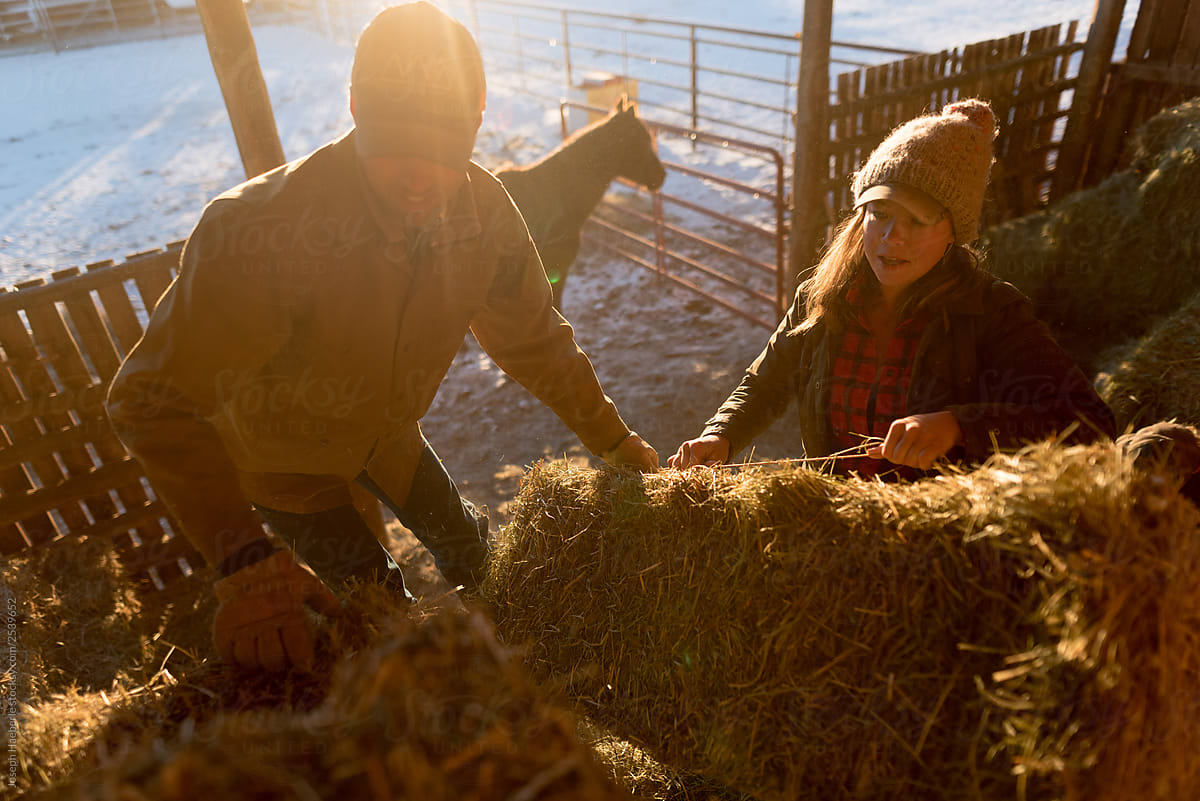 Cowboy and cowgirl throwing hay bales in hay barn at sunset