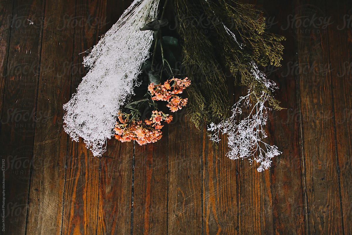 Dried floral