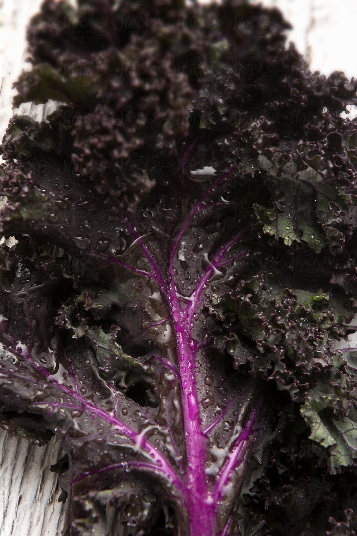 Organic Purple Kale