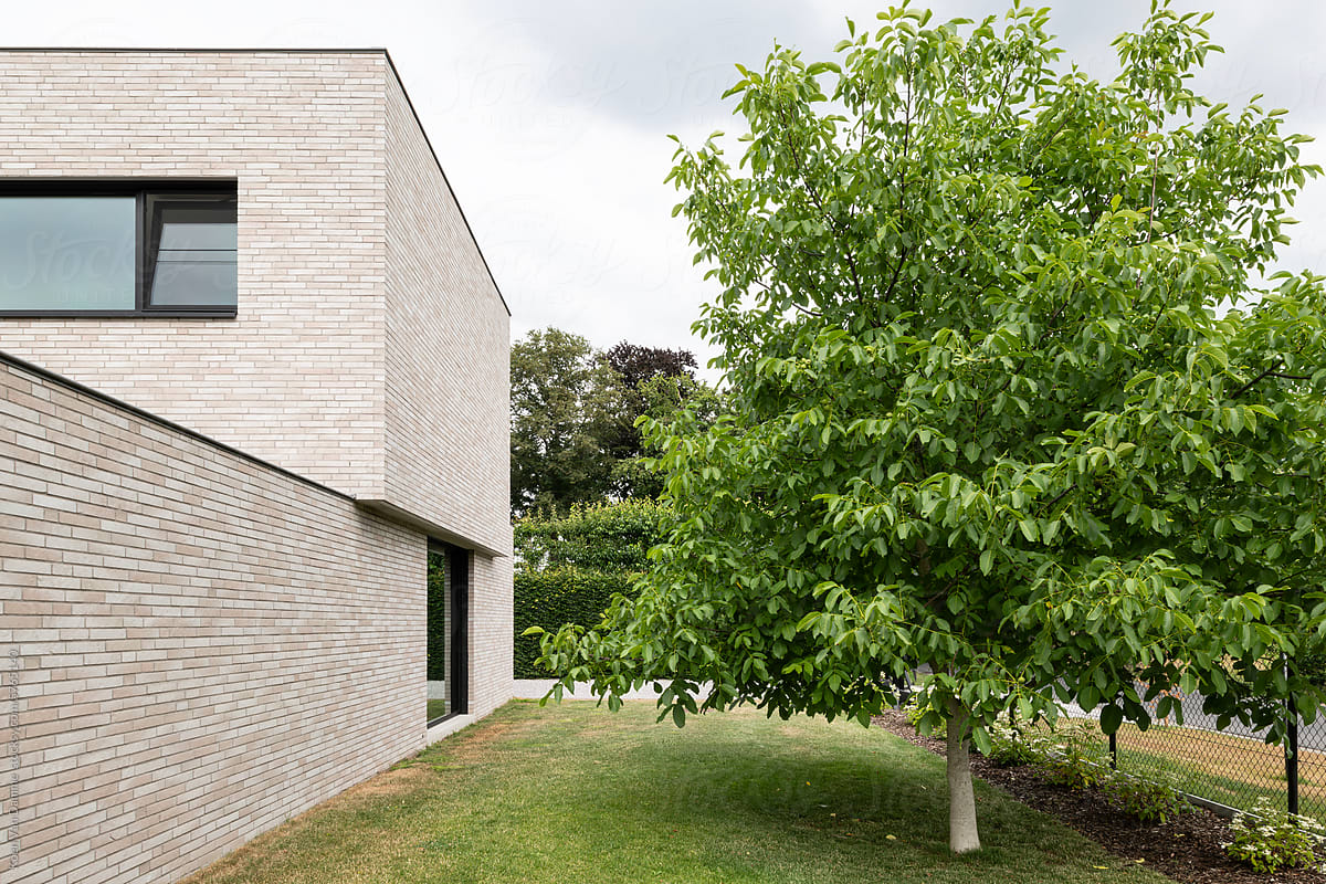 minimalist house and tree