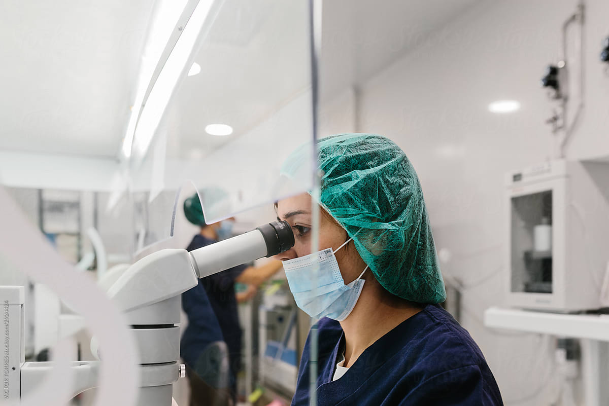 Biologist working on microscope in IVF laboratory