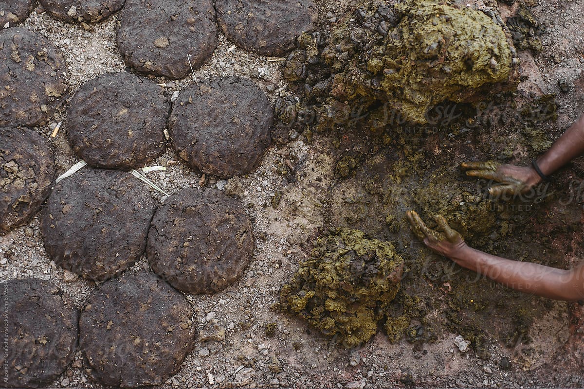 Identify the incorrect statement about dung cakes.