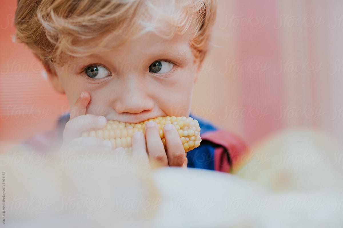 Adorable little blond boy eating corn on the cob
