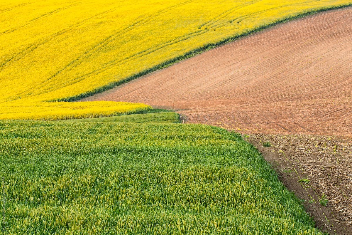 Rural Landscape in Southern Moravia