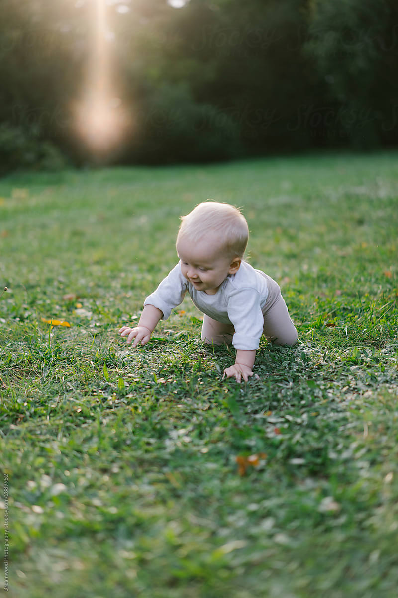 Baby girl crawling on green meadow