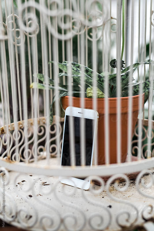 Cell phone left in bird cage to avoid communication