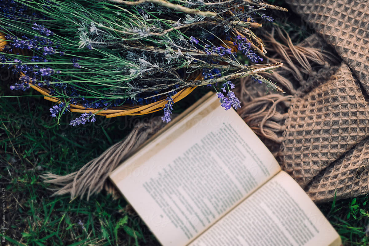 lavender basket, plaid, hat, and a good book
