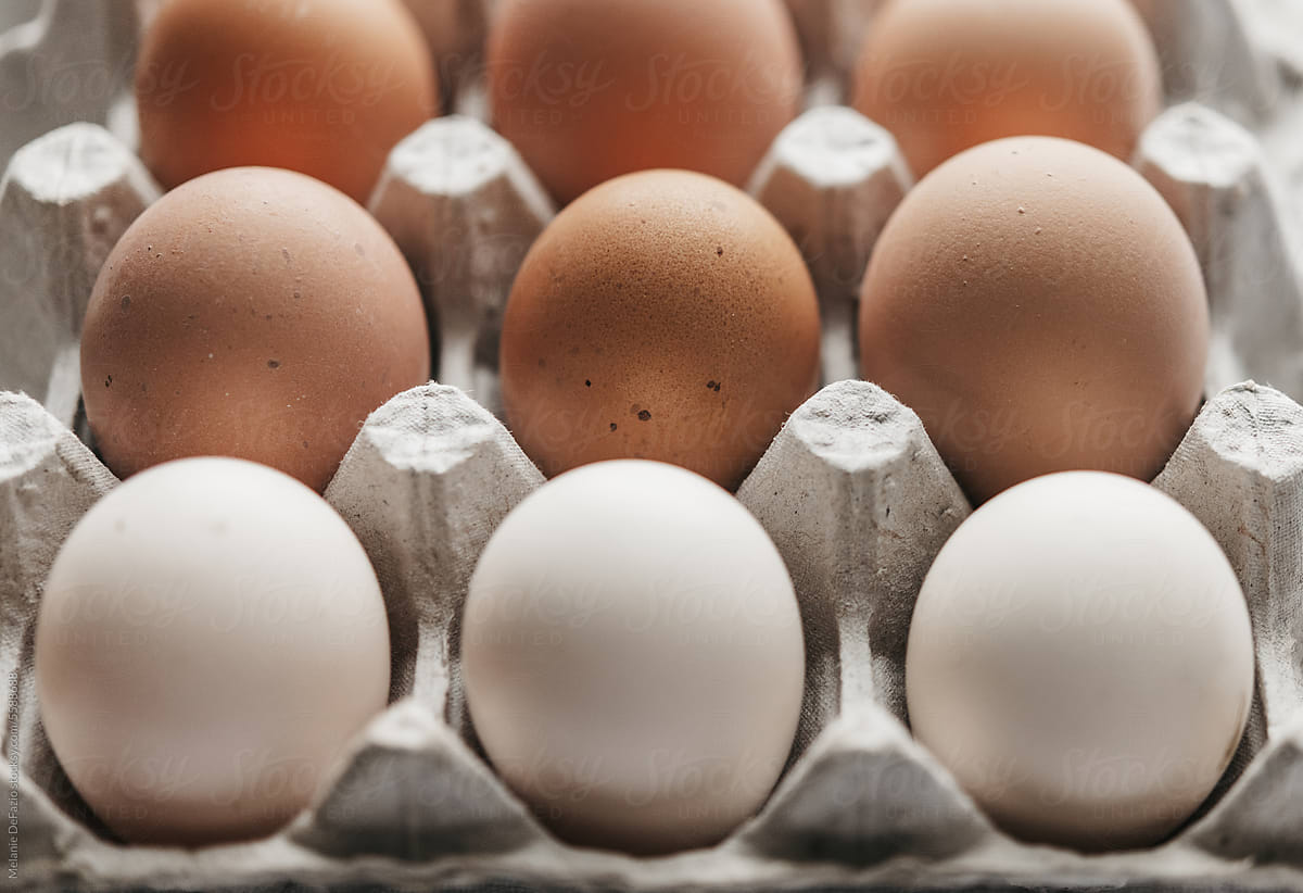 Farm fresh eggs