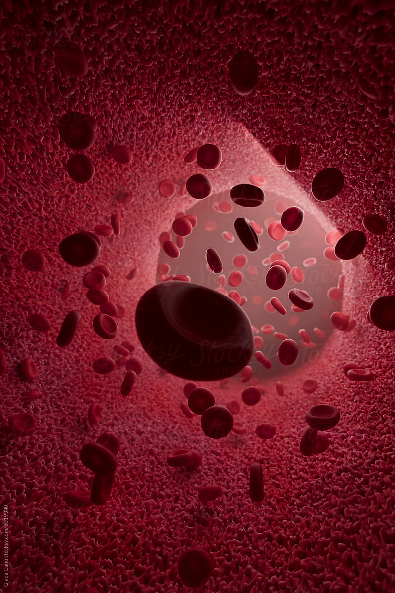 3D Render of Erythrocytes in Blood Vessel