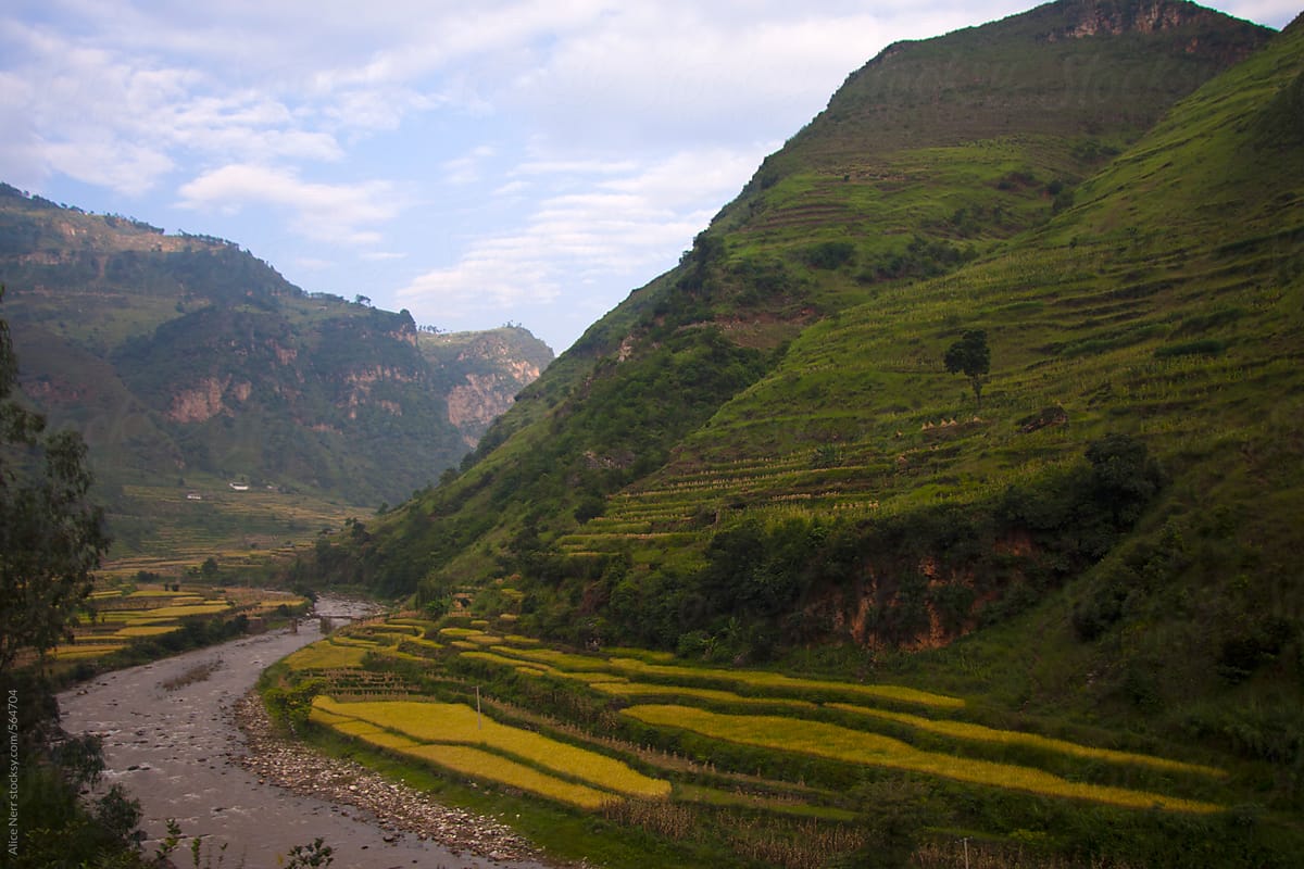 Riverside and rice terrace along hill