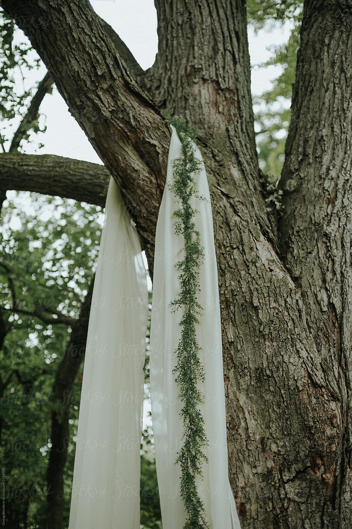 Sheer drapes and greenery vine details for ceremony backdrop at garden wedding