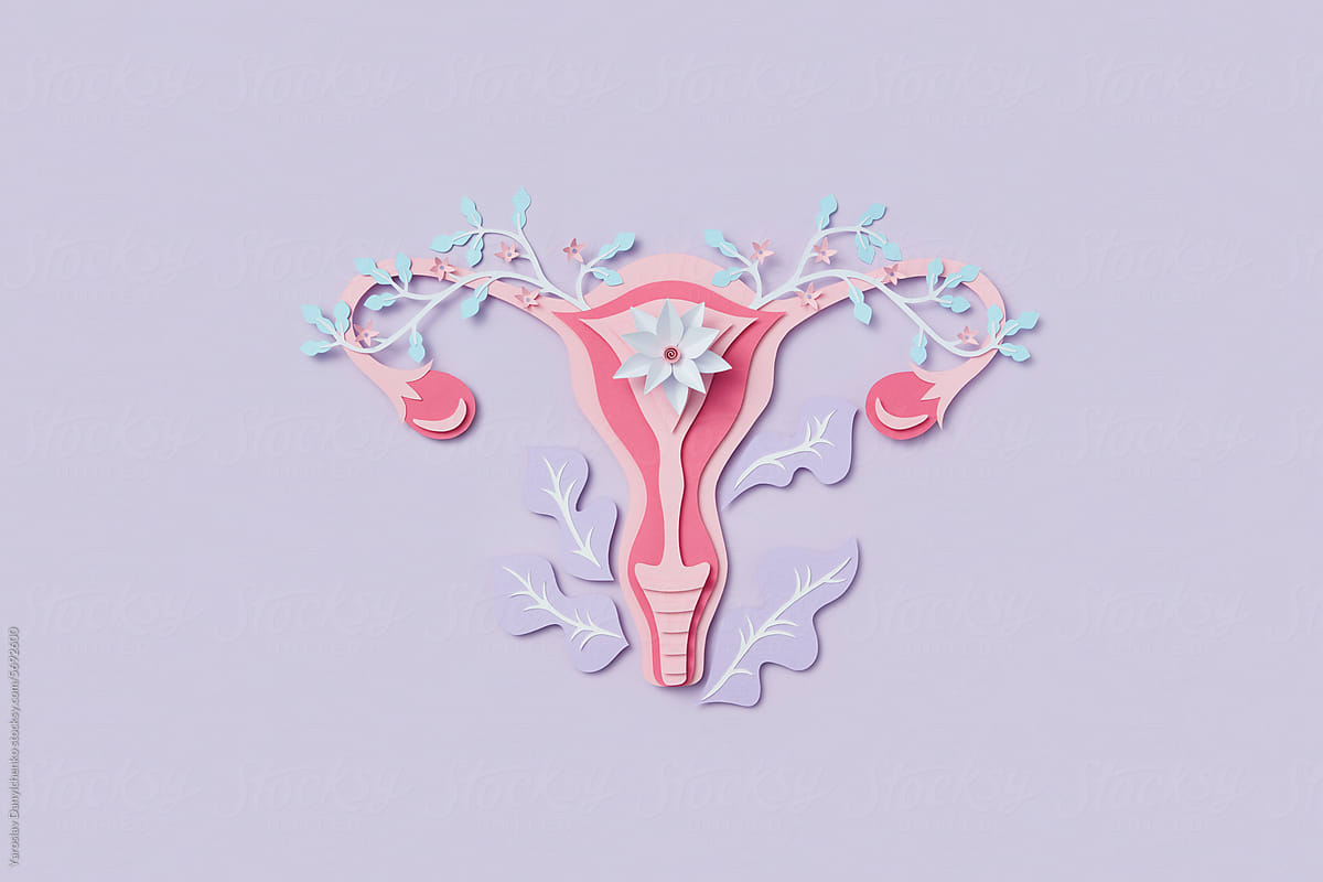 Vibrant paper made female uterus with flowers and leaves in studio