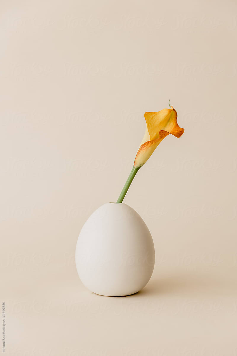 Orange flower in vase