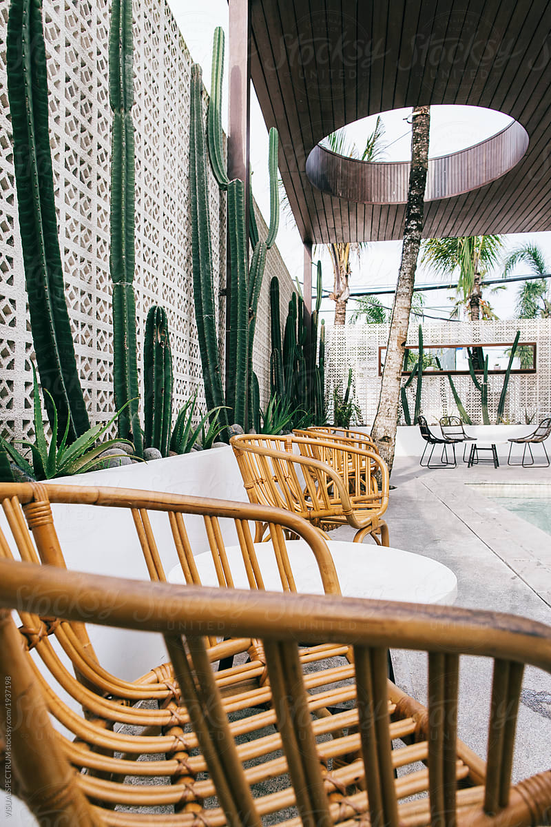 Cacti and Bamboo Chairs in Upscale Tropical Beach Club
