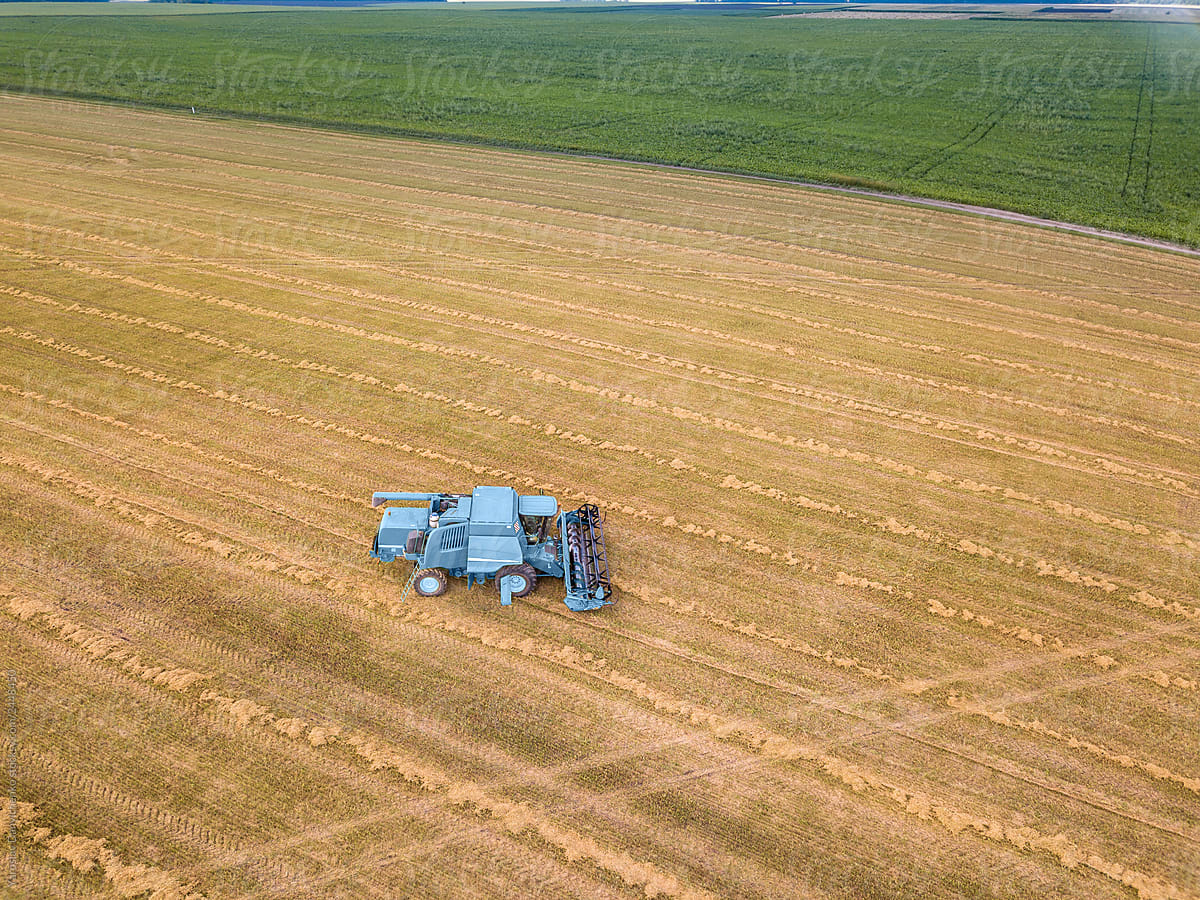 Aerial view from the drone of the field after harvest. The tract