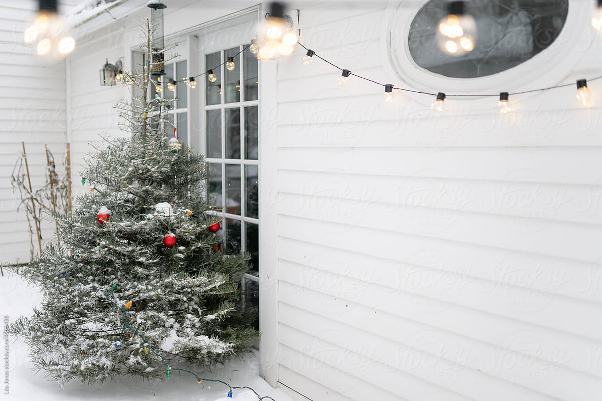 snowy Christmas tree on patio