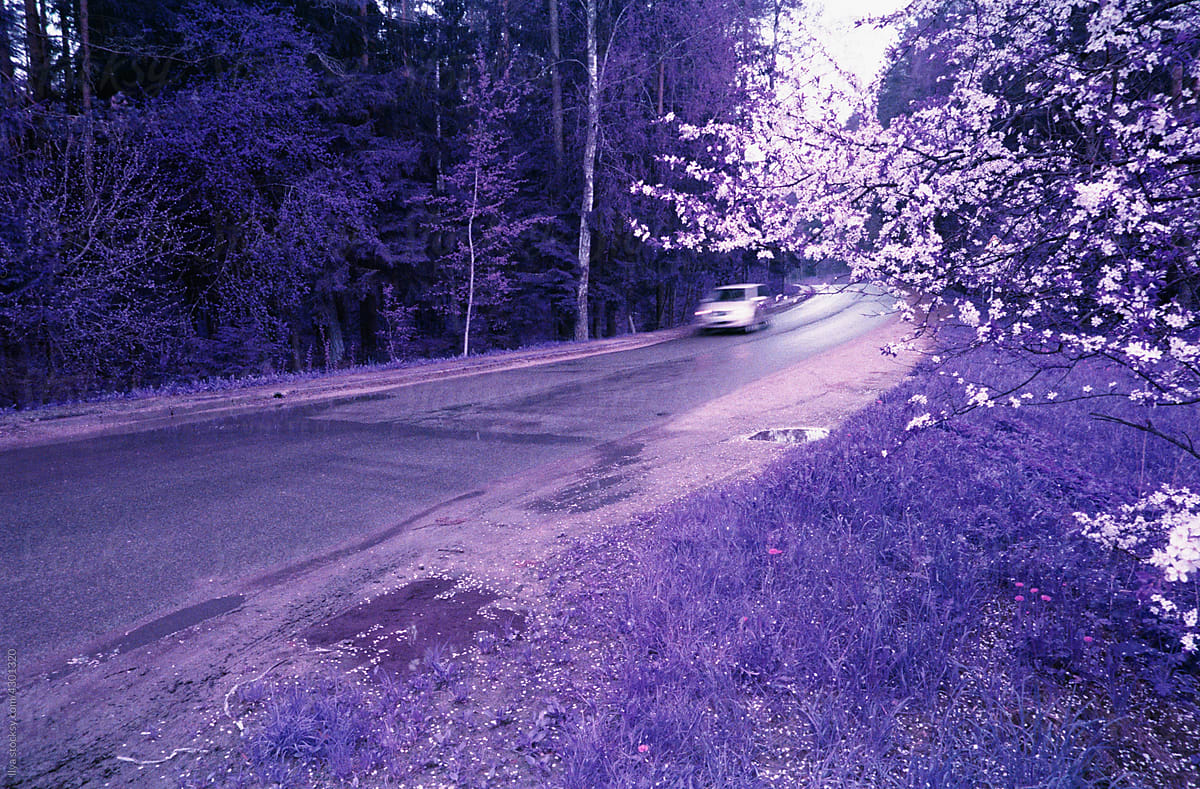 Infrared nature unreal violet spring road car travel