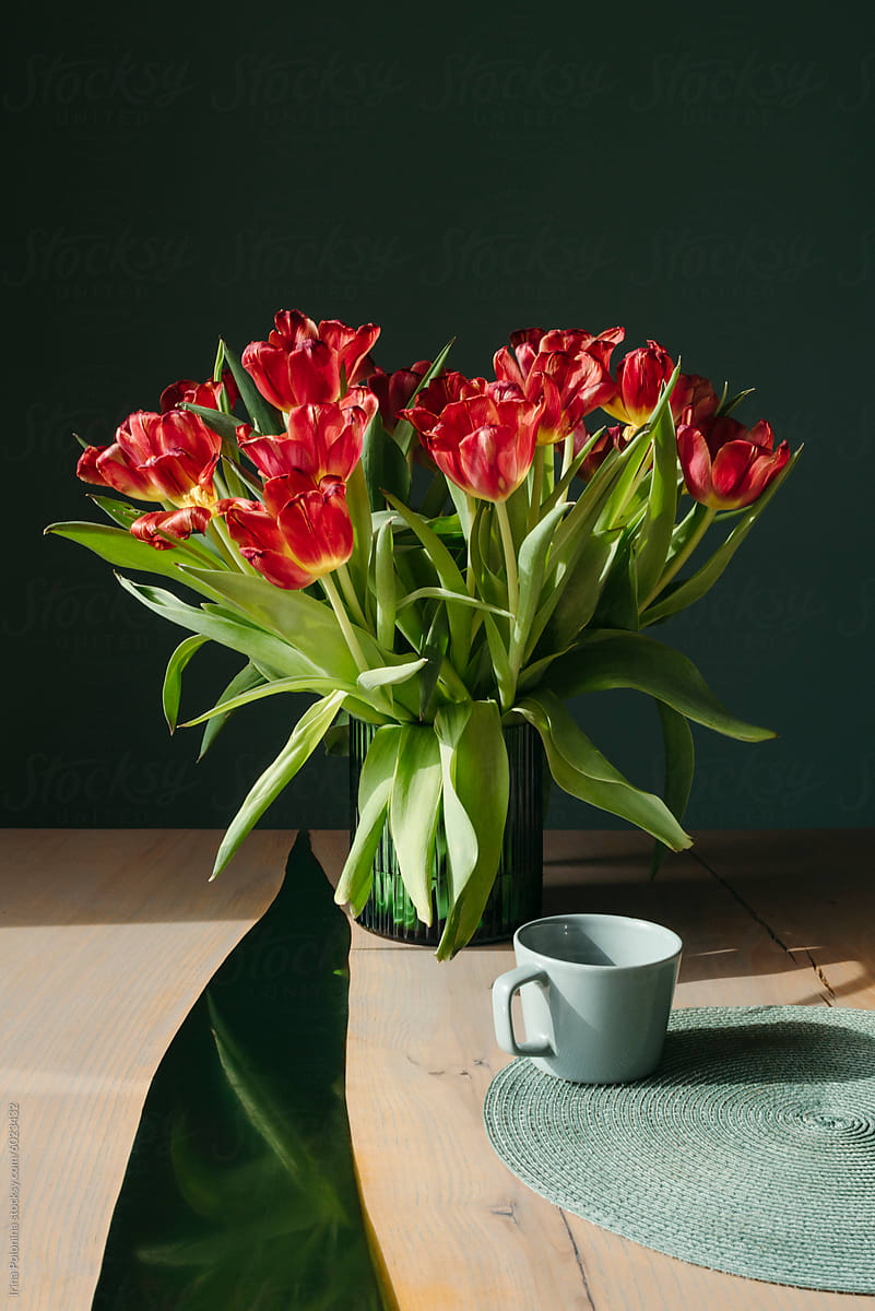 Red Tulips in Sunlit Room
