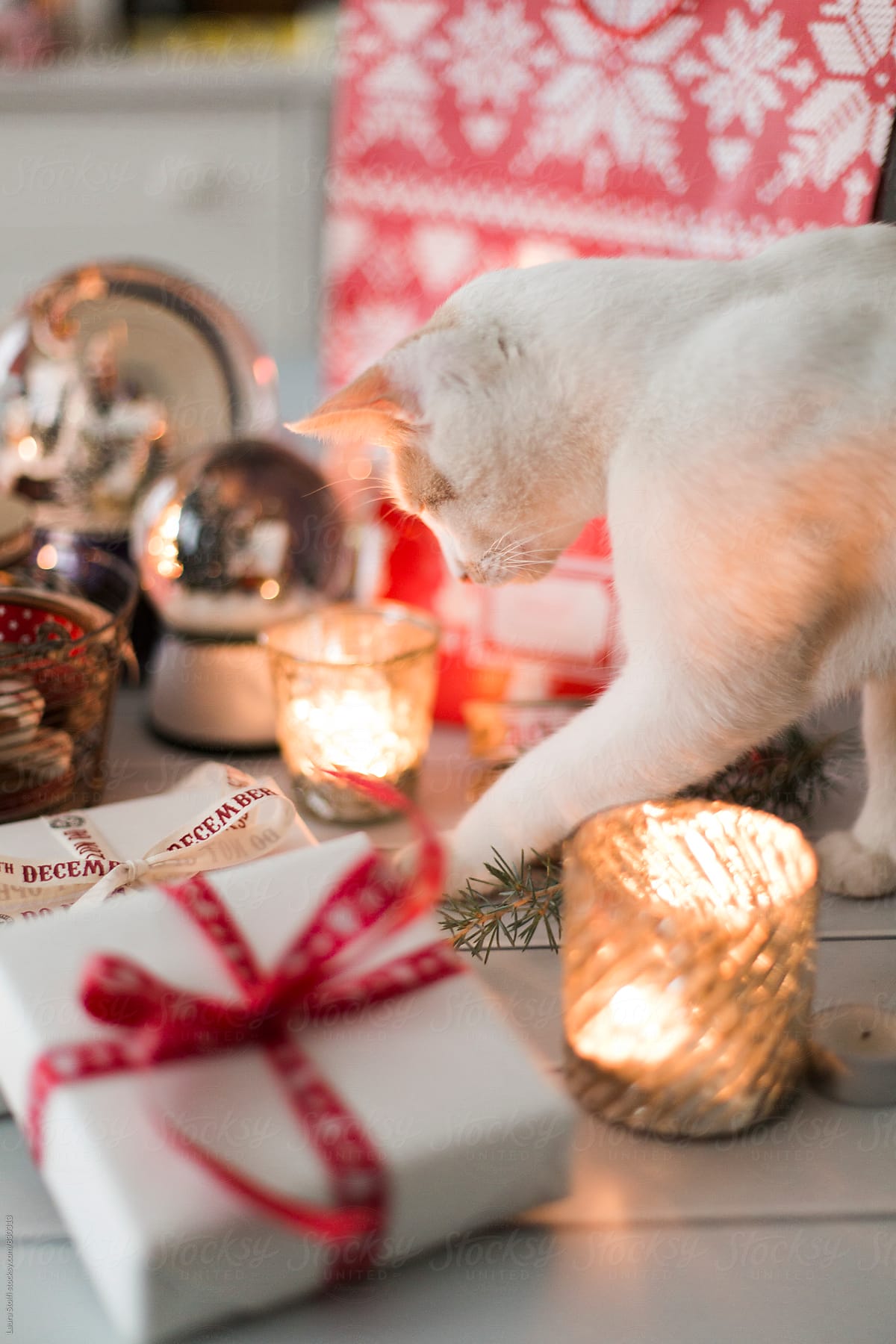 Curious cat exploring table with candles, snow globes and Christmas presents