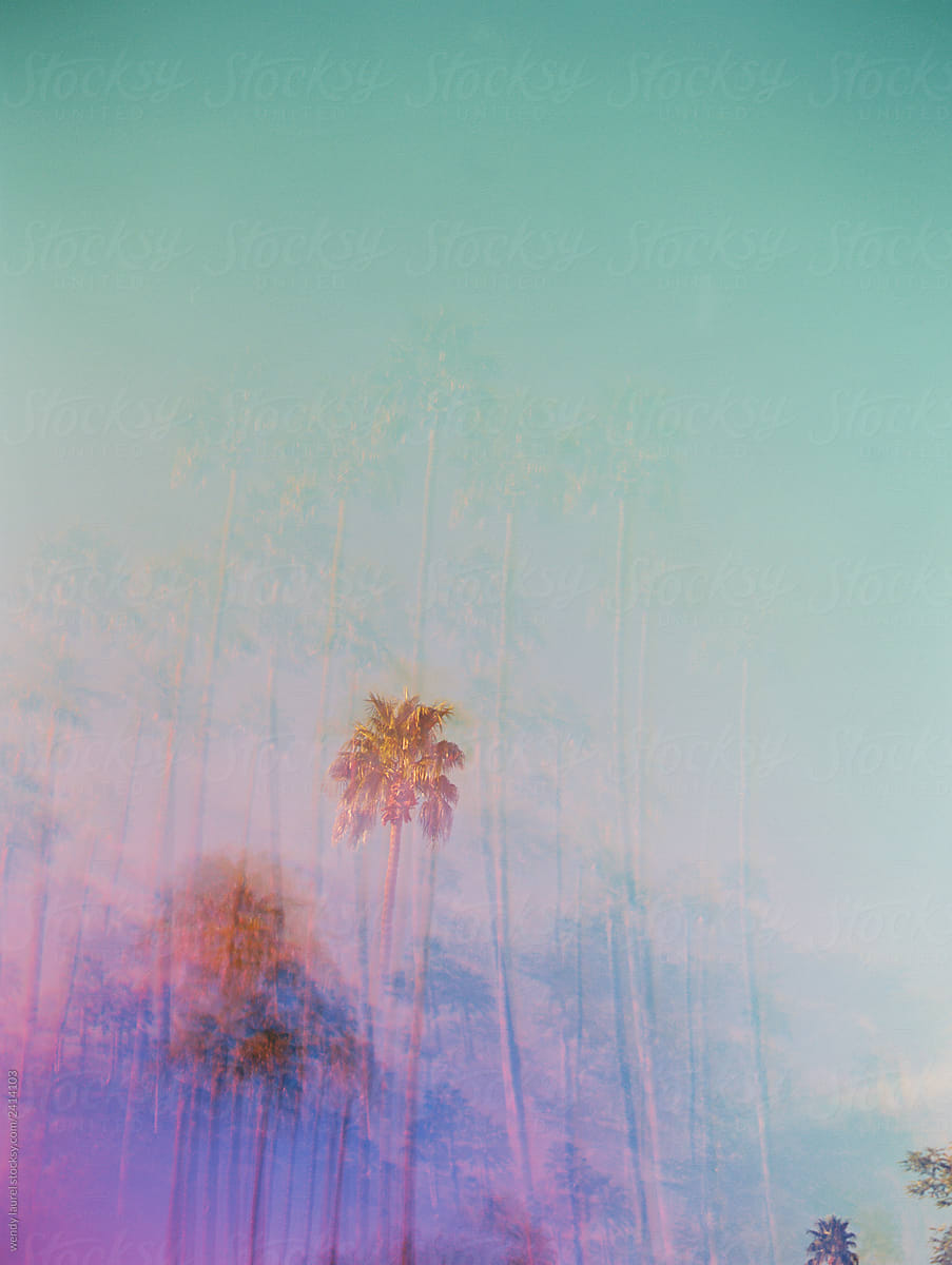 blue sky with palm trees and purple and pink colors film double exposure