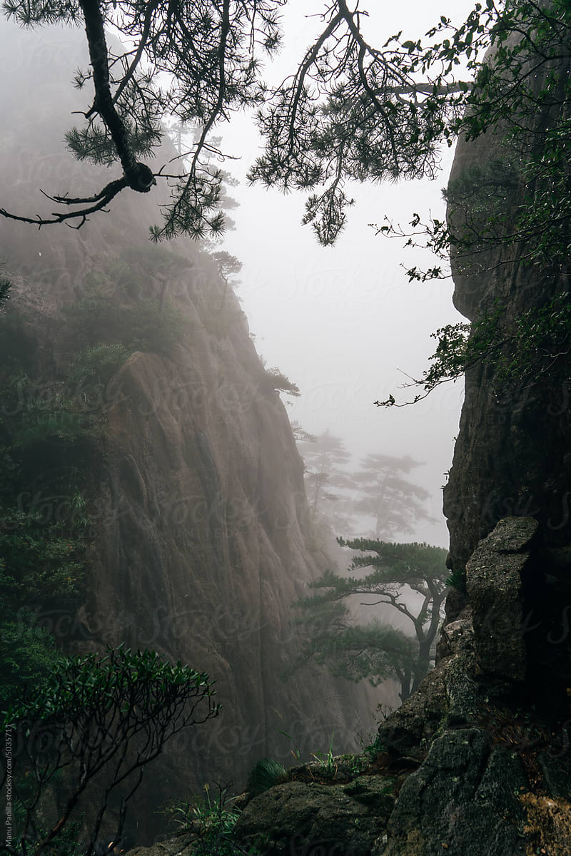 Rocky cliff covered with fog