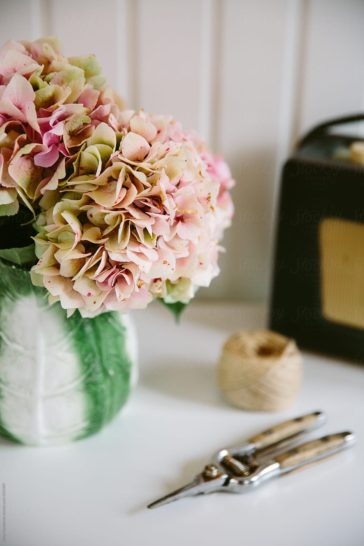 Still life vignette featuring faded pink hydrangea blooms in a vintage jug.