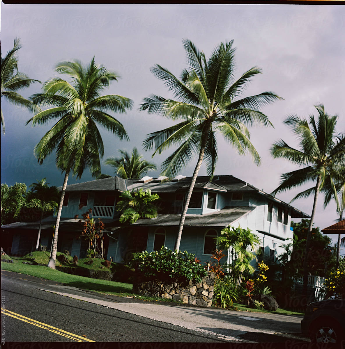 House Surrounded by Palm Trees, Shot on 120mm Film