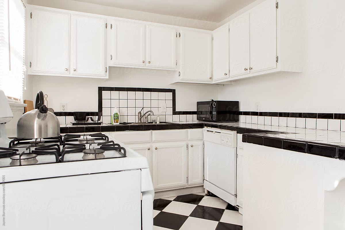 Black and White Apartment Kitchen
